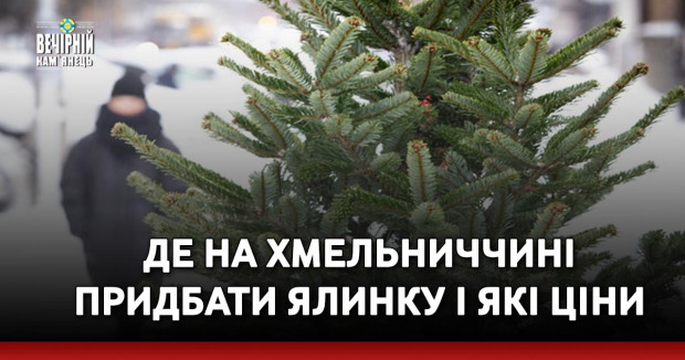 Де на Хмельниччині придбати ялинку і які ціни