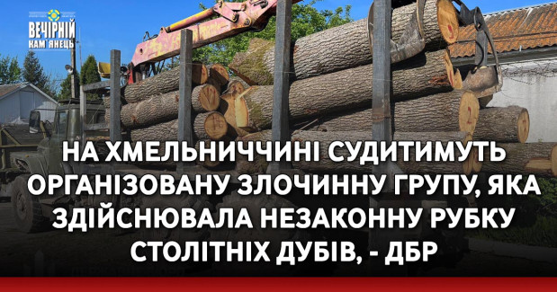 На Хмельниччині судитимуть організовану злочинну групу, яка здійснювала незаконну рубку столітніх дубів, - ДБР