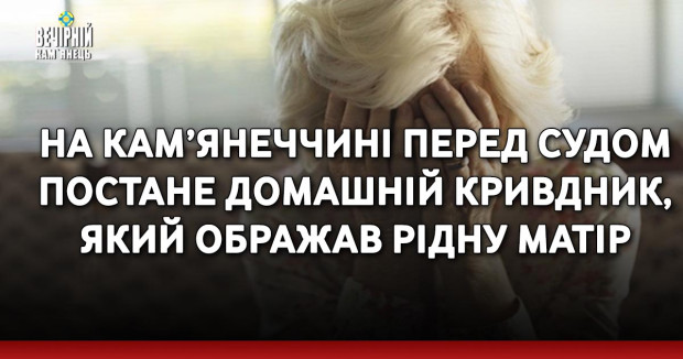 На Кам’янеччині перед судом постане домашній кривдник, який ображав рідну матір