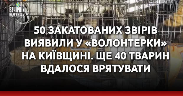 50 закатованих звірів виявили у «волонтерки» на Київщині. Ще 40 тварин вдалося врятувати