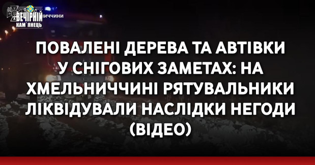 Повалені дерева та автівки у снігових заметах: на Хмельниччині рятувальники ліквідували наслідки негоди (ВІДЕО)