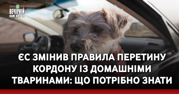 ЄС змінив правила перетину кордону із домашніми тваринами: що потрібно знати