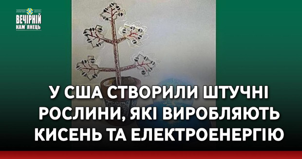 У США створили штучні рослини, які виробляють кисень та електроенергію