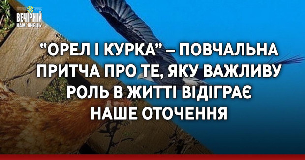 “Орел і курка” – повчальна притча про те, яку важливу роль в житті відіграє наше оточення