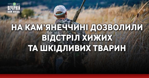 На Кам’янеччині дозволили відстріл хижих та шкідливих тварин