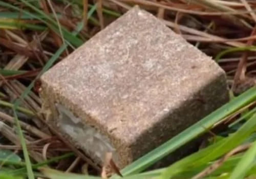 імунізація