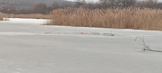 Порятунок на річці