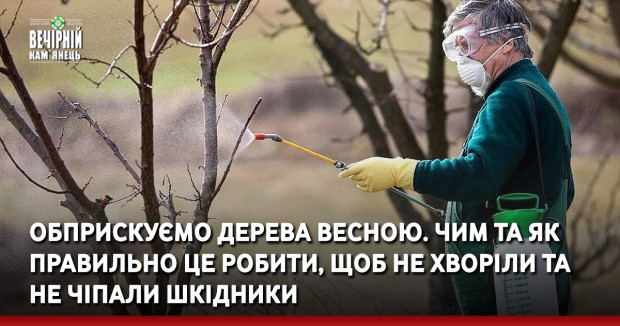 Обприскуємо дерева весною. Чим та як правильно це робити, щоб не хворіли та не чіпали шкідники