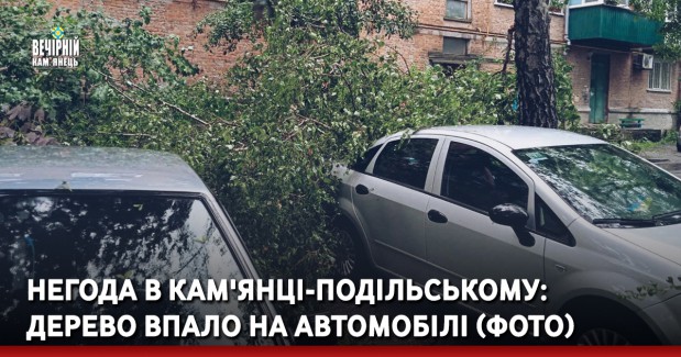Негода в Кам'янці-Подільському: дерево впало на автомобілі (ФОТО)