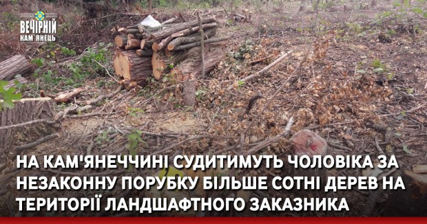 На Кам'янеччині судитимуть чоловіка за незаконну порубку більше сотні дерев на території ландшафтного заказника 