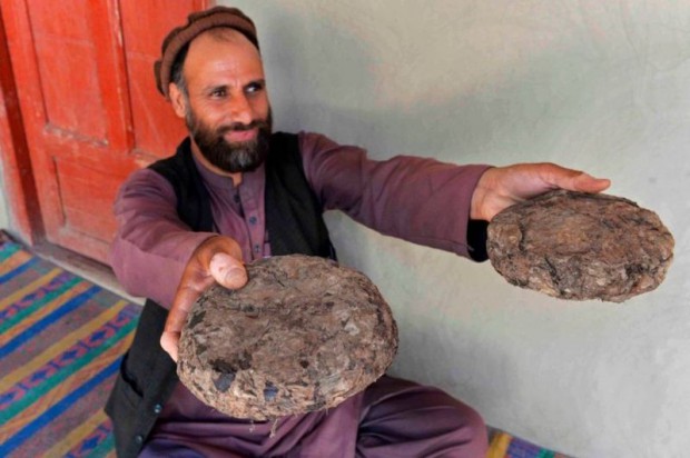 Основа економіки сонячного Афганістану - опій-сирець та незаконна торгівля опіатами