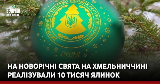 На новорічні свята на Хмельниччині реалізували 10 тисяч ялинок