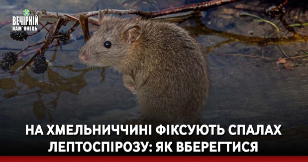 Як спроба заколоту Пригожина вплинула на російські війська в Україні: в Інституті війни дали пояснення