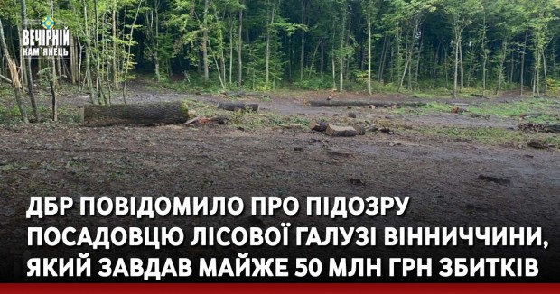 ДБР повідомило про підозру посадовцю лісової галузі Вінниччини, який завдав майже 50 млн грн збитків