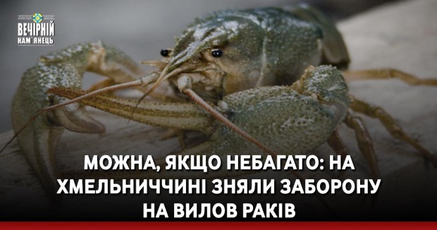 Можна, якщо небагато: на Хмельниччині зняли заборону на вилов раків