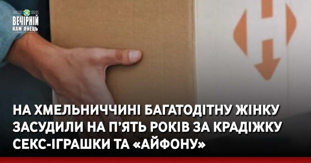 На Хмельниччині багатодітну жінку засудили на п’ять років за крадіжку секс-іграшки та «айфону»