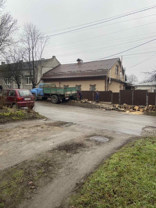 22 січня дерево огієнка