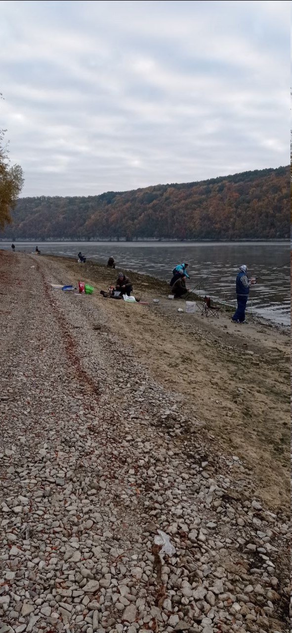 246815580 1355330041568068 4360713788904252190 n