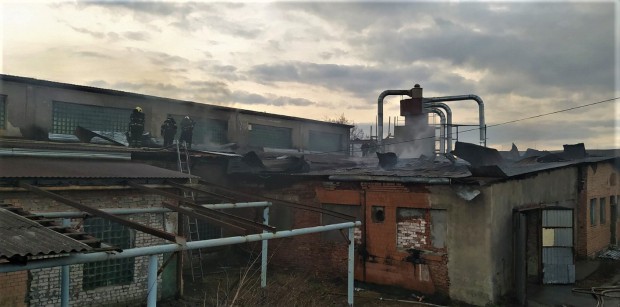 255620772 987501918464626 1860828997877743430 n