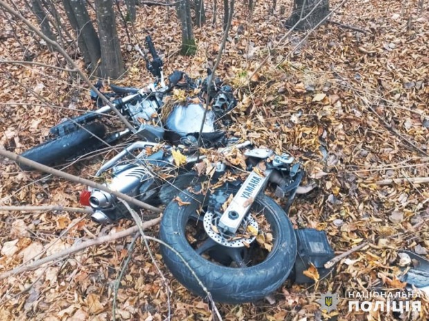 257768680 926090928029912 8220504146304706842 n