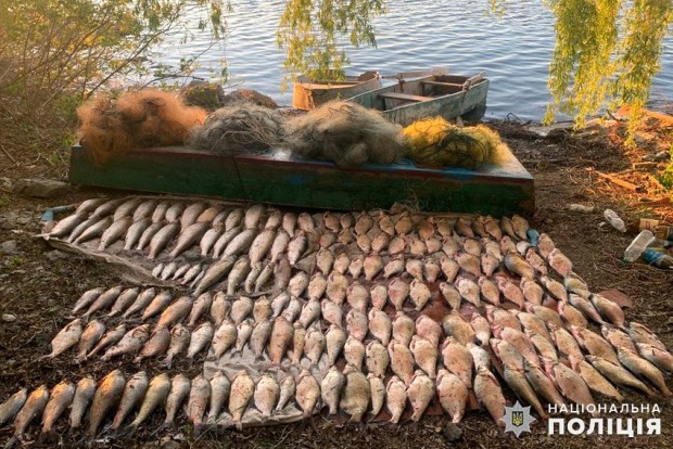 281948769 330493169201899 2521730615514977584 n