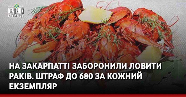 На Закарпатті заборонили ловити раків. Штраф до 680 за кожний екземпляр