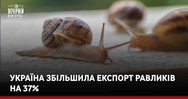 Україна збільшила експорт равликів на 37%