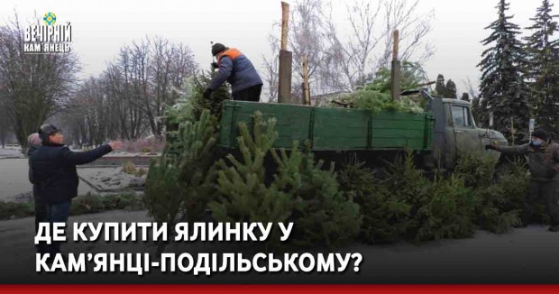 Де купити ялинку у Кам’янцы-Подыльському?