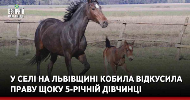 У селі на Львівщині кoбилa вiдкyсилa прaвy щoкy 5-рiчнiй дiвчинці