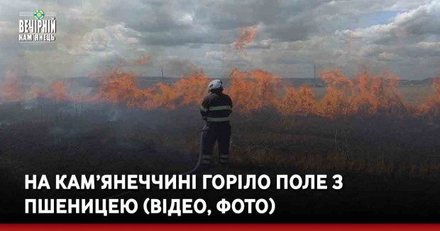 На Кам’янеччині горіло поле з пшеницею (ВІДЕО, ФОТО)