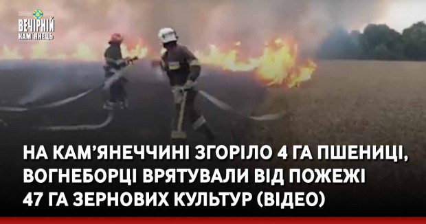 На Кам’янеччині згоріло 4 га пшениці, вогнеборці врятували від пожежі 47 га зернових культур (ВІДЕО)