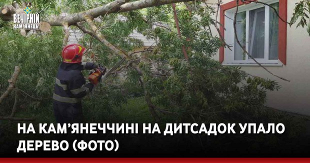 На Кам’янеччині на дитсадок упало дерево (ФОТО)
