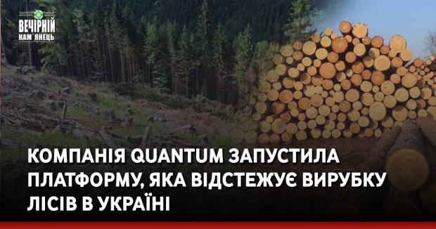 Компанія Quantum запустила платформу, яка відстежує вирубку лісів в Україні