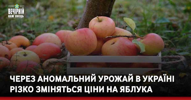 Через аномальний урожай в Україні різко зміняться ціни на яблука
