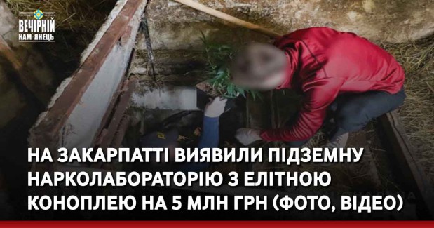 На Закарпатті виявили підземну нарколабораторію з елітною коноплею на 5 млн грн (ФОТО, ВІДЕО)