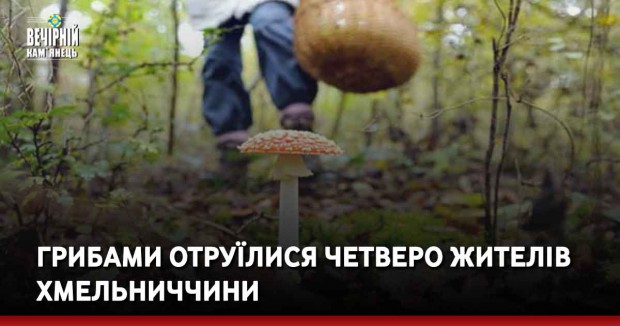 Грибами отруїлися четверо жителів Хмельниччини