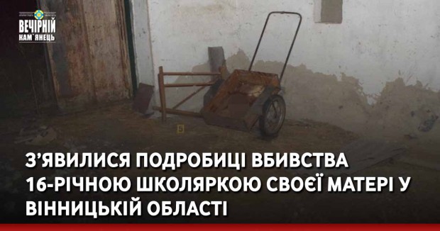З’явилися подробиці вбивства 16-річною школяркою своєї матері у Вінницькій області