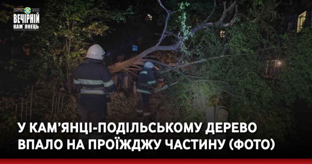 У Кам’янці-Подільському дерево впало на проїжджу частину (ФОТО)