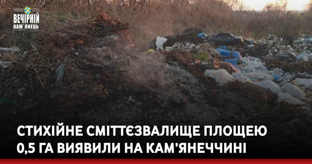 Стихійне сміттєзвалище площею 0,5 га виявили на Кам’янеччині