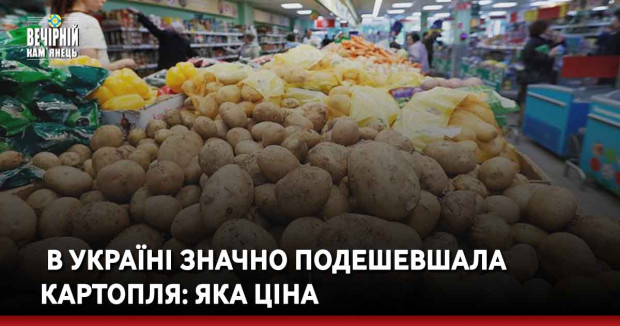 В Україні значно подешевшала картопля: яка ціна