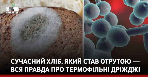 Сучасний хліб, який став отрутою — вся правда про термофільні дріжджі