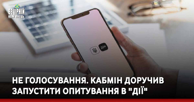 Не голосування. Кабмін доручив запустити опитування в "Дії"
