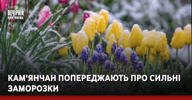 Кам'янчан попереджають про сильні заморозки