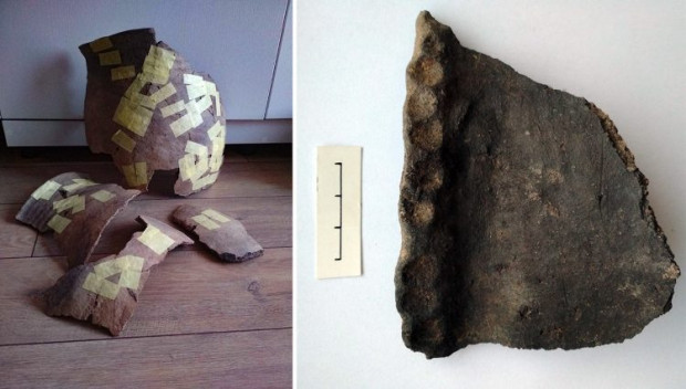 polon 05.original 750x426