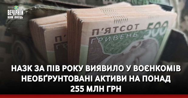 НАЗК за пів року виявило у воєнкомів необґрунтовані активи на понад 255 млн грн