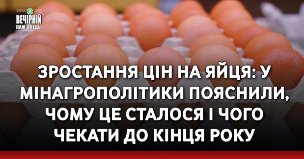 Зростання цін на яйця: У Мінагрополітики пояснили, чому це сталося і чого чекати до кінця року