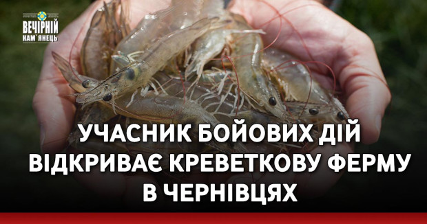 Учасник бойових дій відкриває креветкову ферму в Чернівцях