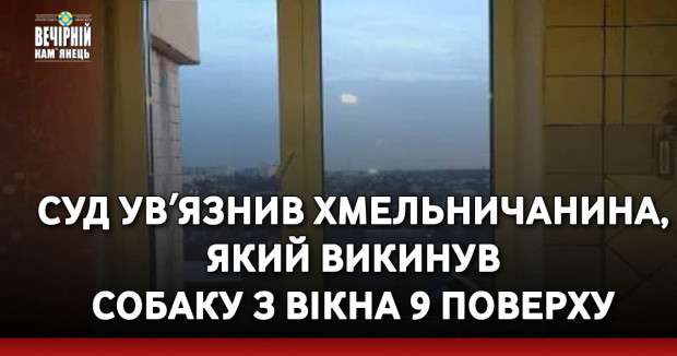 Суд увʼязнив хмельничанина, який викинув собаку з вікна 9 поверху