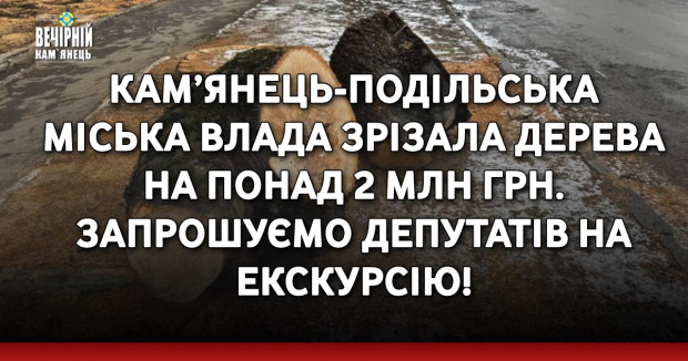 Кам’янець-Подільська міська влада зрізала дерева на понад 2 млн грн. Запрошуємо депутатів на екскурсію!