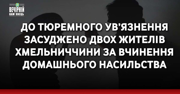 До тюремного ув’язнення засуджено двох жителів Хмельниччини за вчинення домашнього насильства